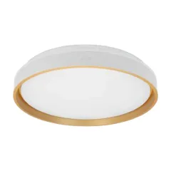 Lámpara de techo JLAR-5011
